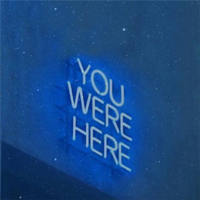 装饰豪华宠物窝